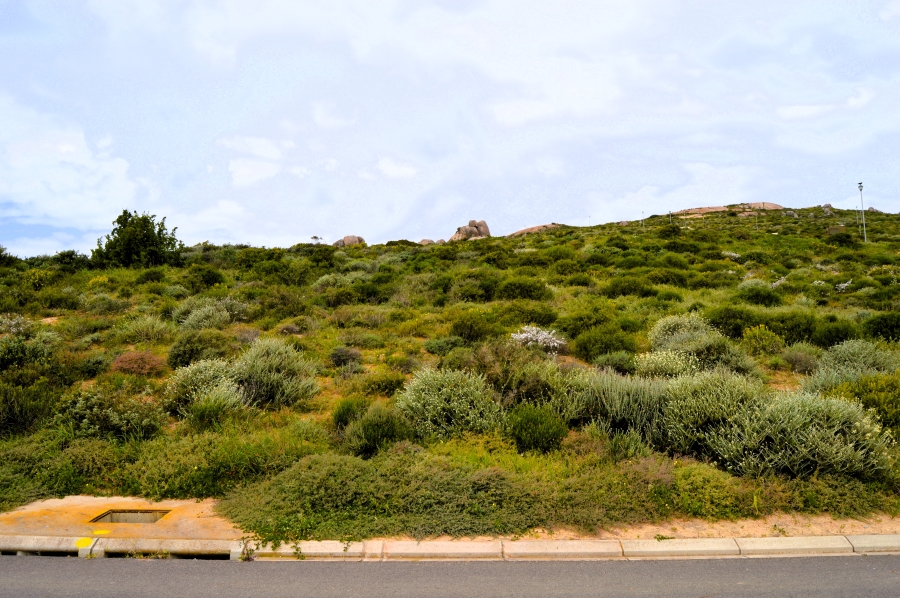 0 Bedroom Property for Sale in St Helena Views Western Cape